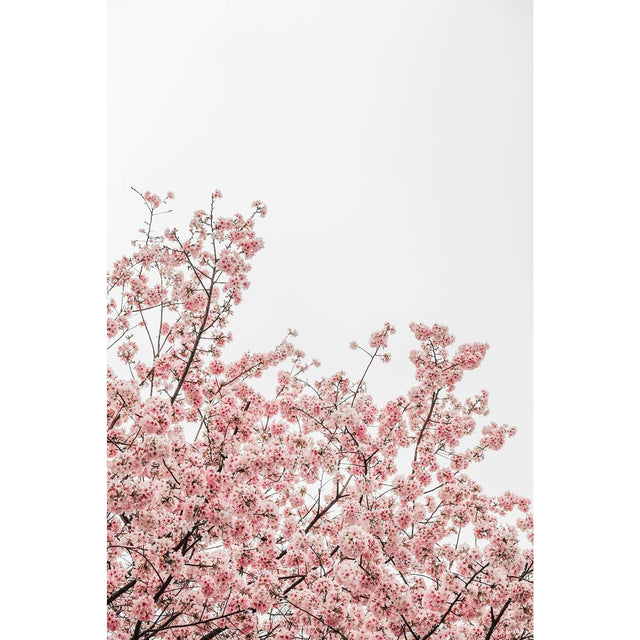 Akoestisch paneel 'Bloesem Lente'