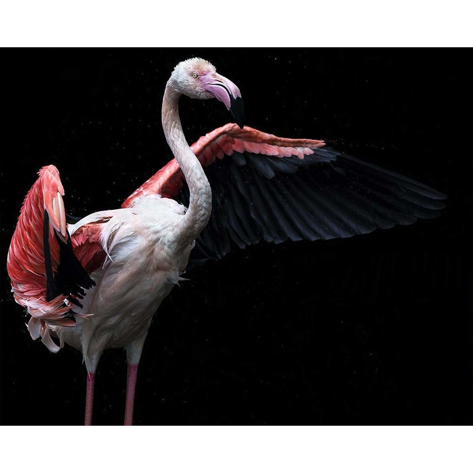 Kunssst akoestisch paneel Akoestisch Paneel 'Flamingo op zwart' akoestisch paneel geluidsdemping kunst werk kamer galm muur