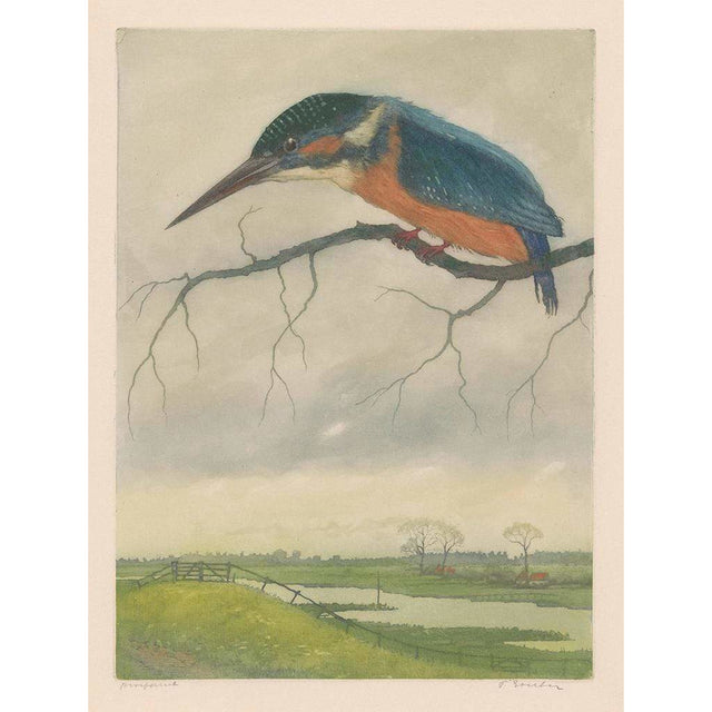 Kunssst akoestisch paneel Akoestisch paneel | IJsvogel op een tak in een weidelandschap akoestisch paneel geluidsdemping kunst werk kamer galm muur