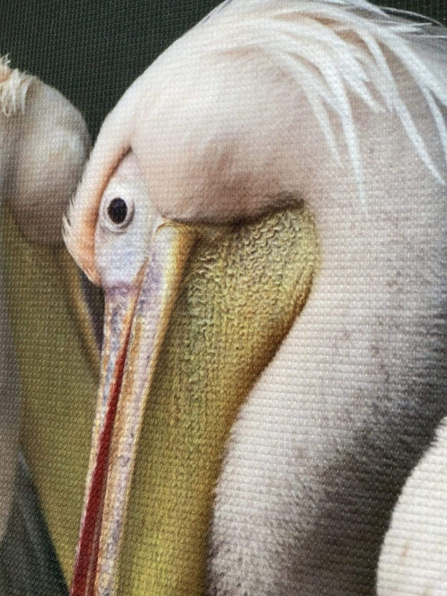 Kunssst akoestisch paneel Akoestisch paneel 'Pelikaan' akoestisch paneel geluidsdemping kunst werk kamer galm muur