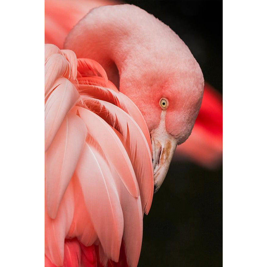 Kunssst akoestisch paneel Akoestiek Paneel 'Pink Flamingo' akoestisch paneel geluidsdemping kunst werk kamer galm muur
