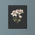 Kunssst akoestisch paneel Akoestisch paneel 'Pelargonium album bicolor' akoestisch paneel geluidsdemping kunst werk kamer galm muur