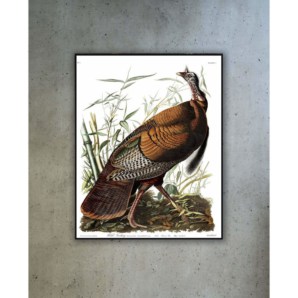 Akoestisch Paneel 'Wild Turkey'